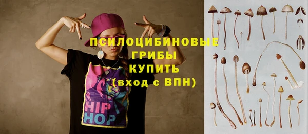 амф Пестово
