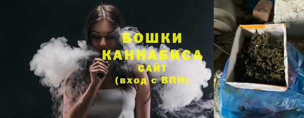 амф Пестово