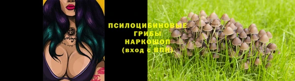 амф Пестово