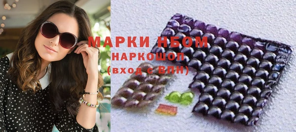 амф Пестово