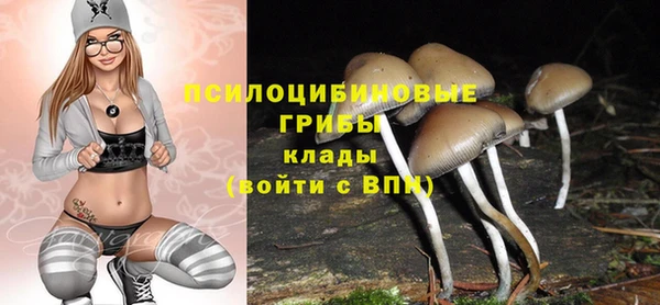 марки nbome Пересвет