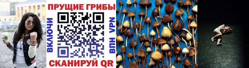 Псилоцибиновые грибы MAGIC MUSHROOMS где купить наркотик kraken онион Спас-Деменск