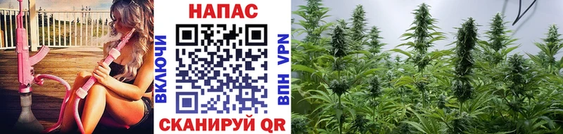 Марихуана гибрид  OMG зеркало  Спас-Деменск 